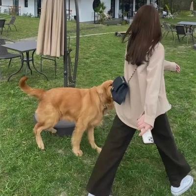 风流学生